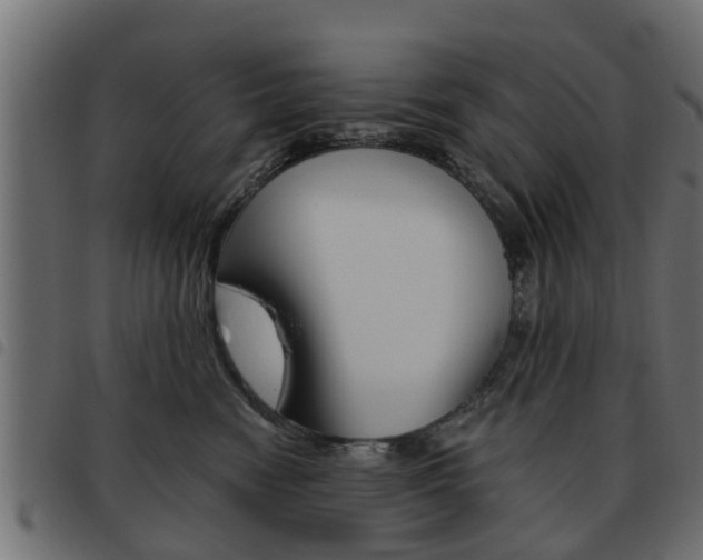 X0000093620474200710151044