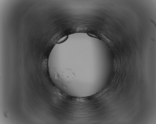 X0000093620475200710151044