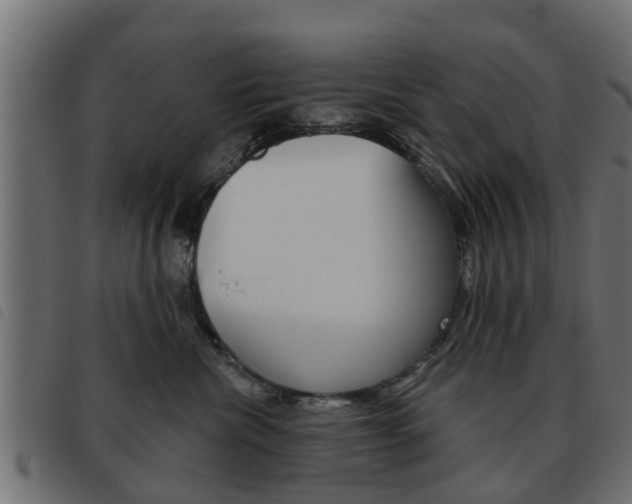 X0000093620476200710151044