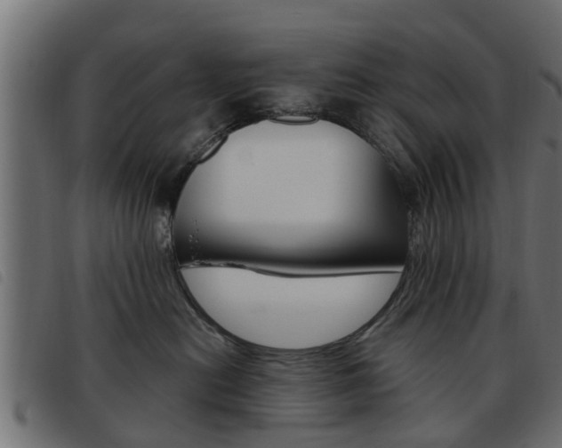 X0000093620478200710151044