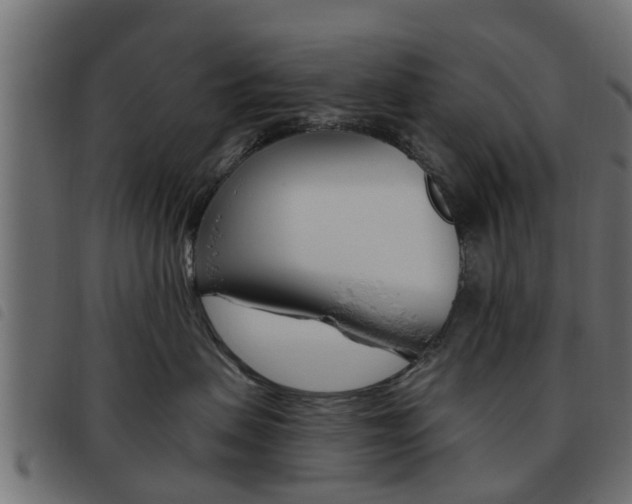 X0000093620479200710151044
