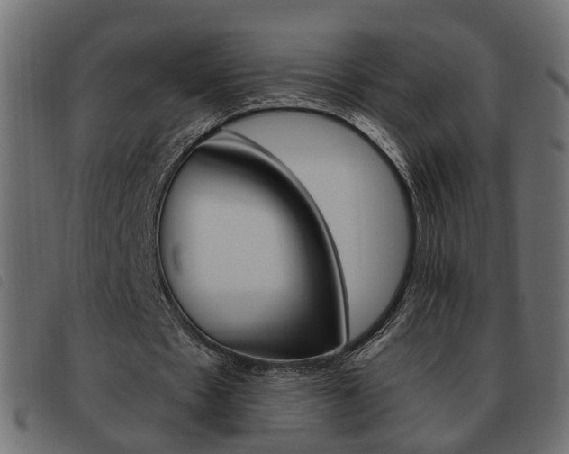 X0000093620481200710151043