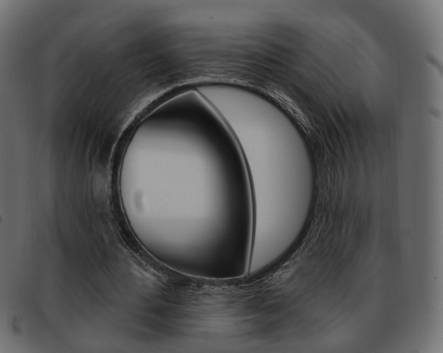 X0000093620484200710151043