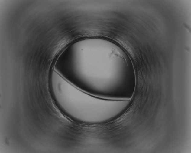 X0000093620485200710151043