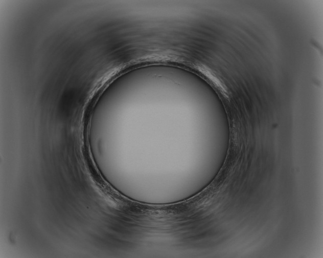 X0000093620486200710151043