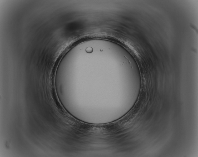 X0000093620487200710151043