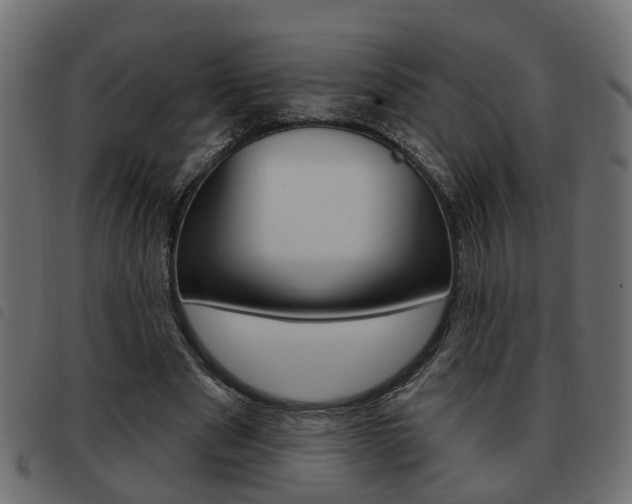 X0000093620489200710151043