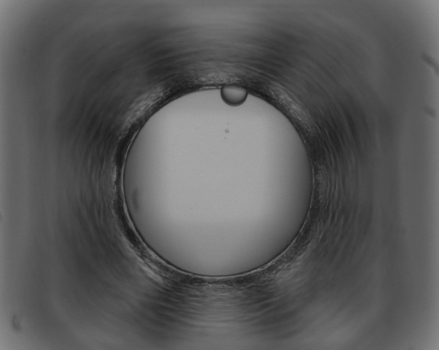 X0000093620490200710151043