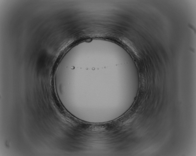 X0000093620491200710151043