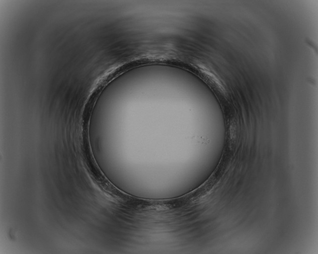 X0000093620492200710151043