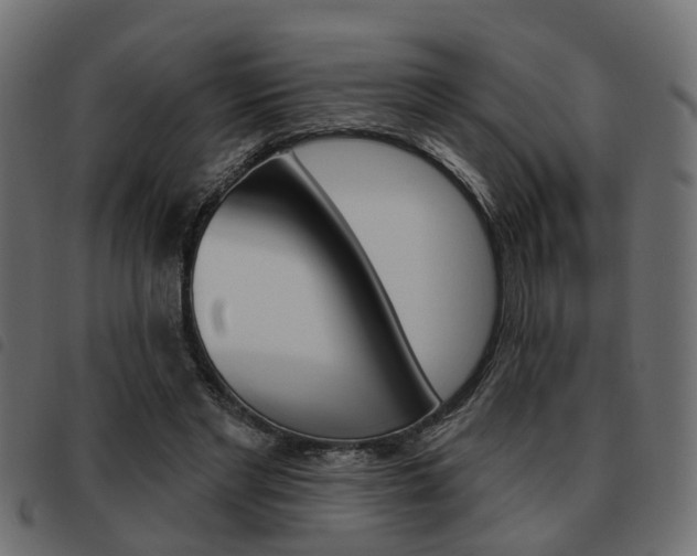 X0000093620493200710151043