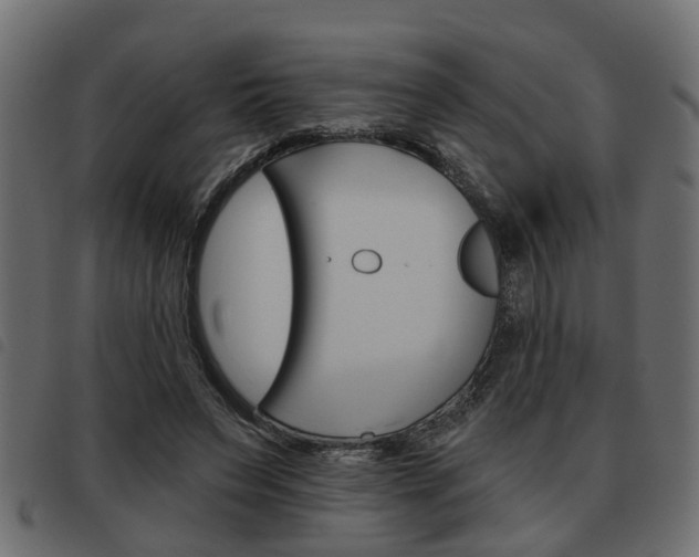 X0000093620495200710151043