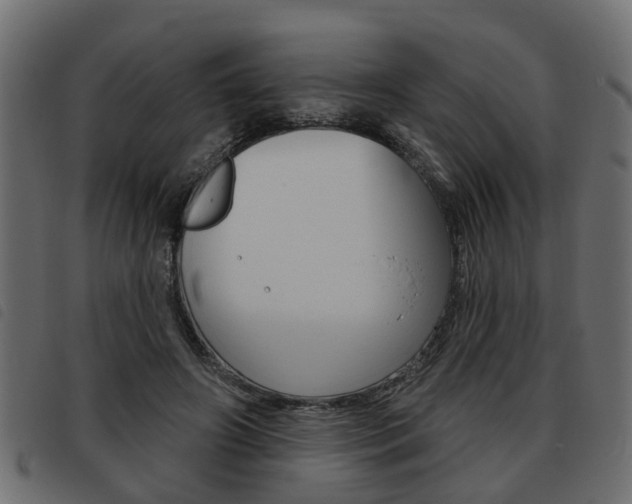 X0000093620498200710151043
