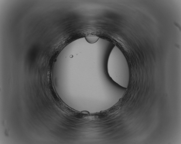 X0000093620499200710151043