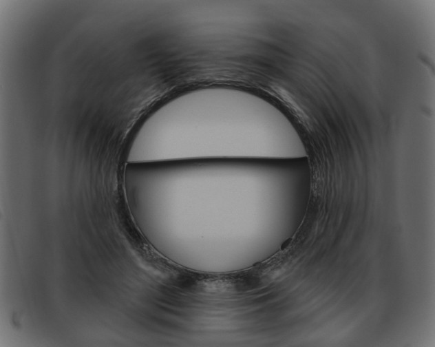 X0000093620500200710151043