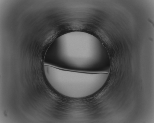 X0000093620501200710151043