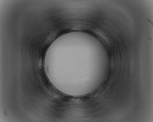 X0000093620502200710151043