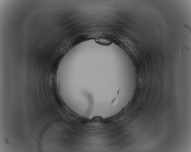 X0000093620503200710151043