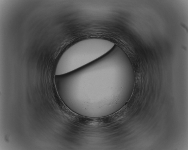 X0000093620504200710151043