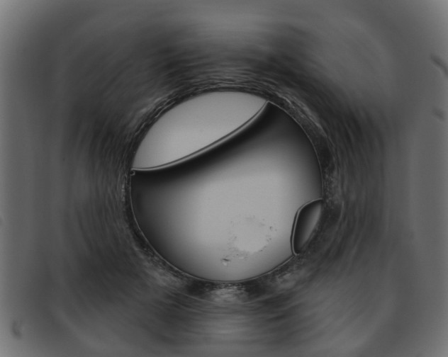 X0000093620505200710151043