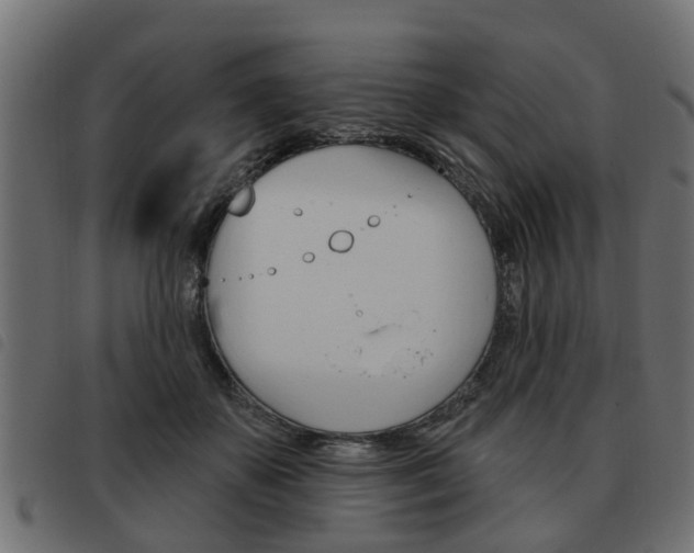 X0000093620507200710151043