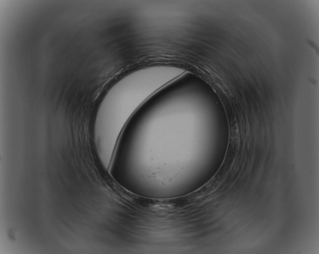 X0000093620508200710151043