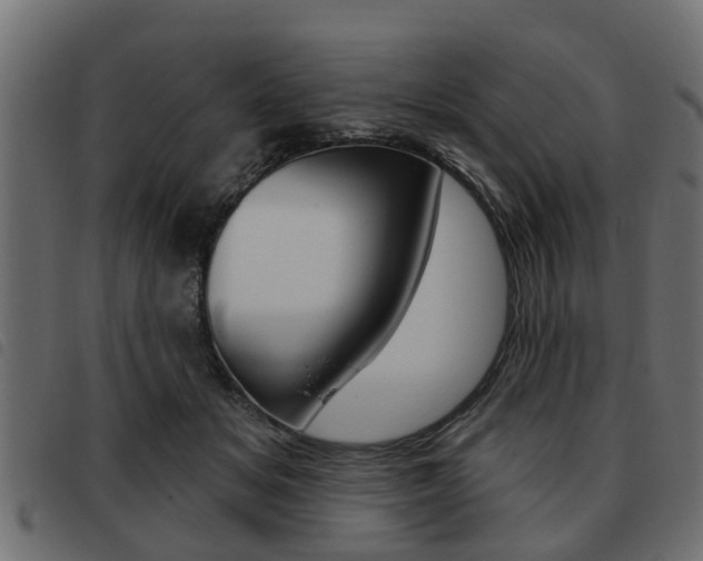 X0000093620509200710151043