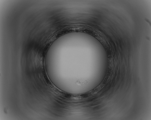 X0000093620510200710151043