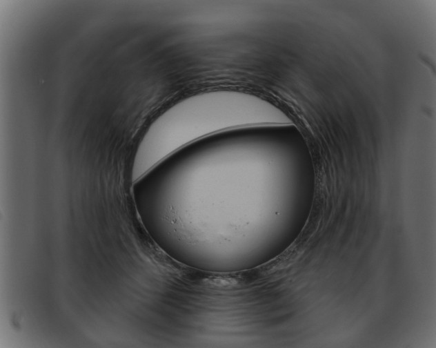 X0000093620512200710151043