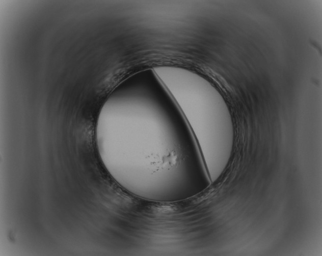 X0000093620513200710151043
