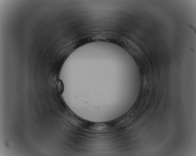 X0000093620514200710151043