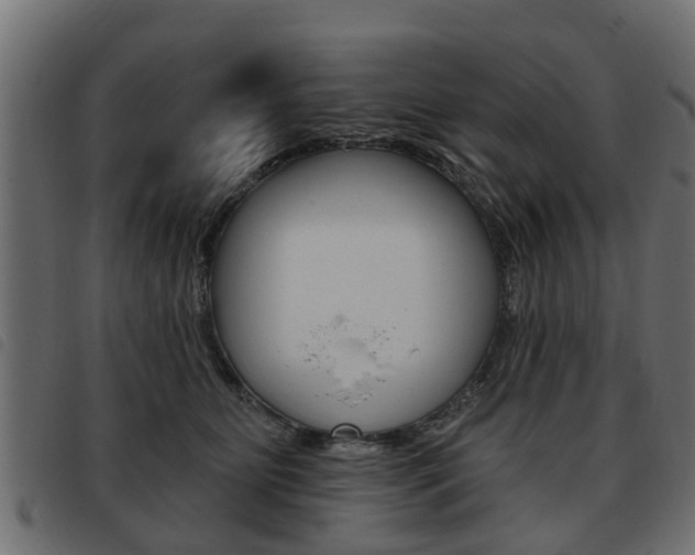 X0000093620515200710151043
