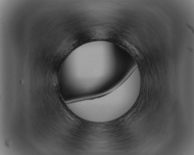 X0000093620517200710151043