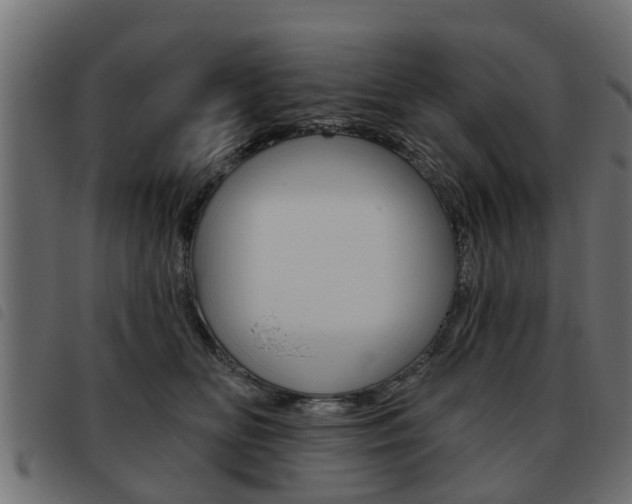 X0000093620518200710151043