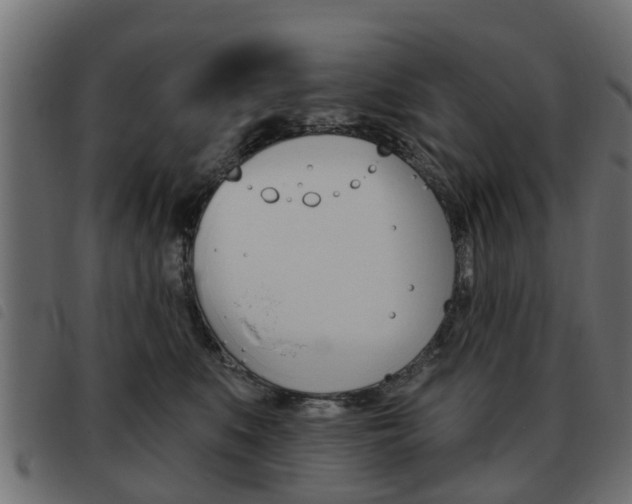 X0000093620519200710151043