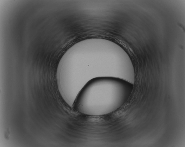 X0000093620521200710151043