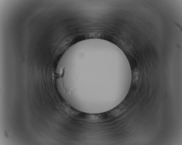X0000093620522200710151043