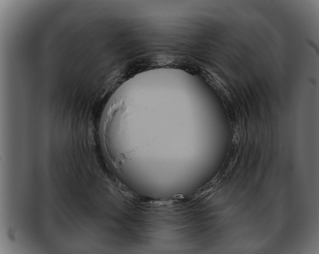 X0000093620524200710151043