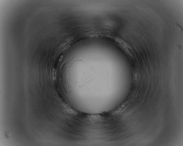 X0000093620525200710151043