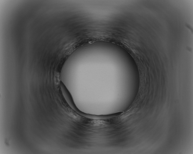X0000093620528200710151043