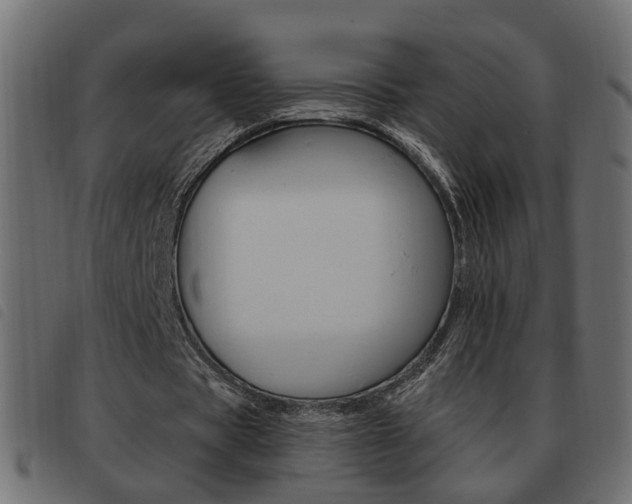 X0000093620529200710151042