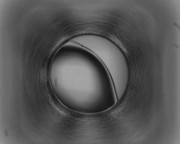 X0000093620530200710151042