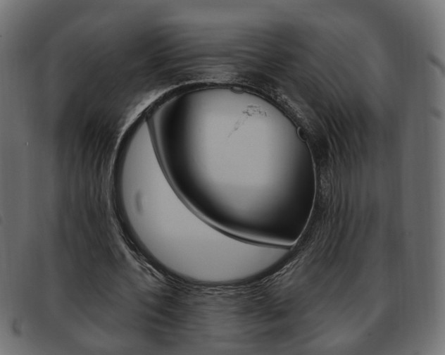 X0000093620532200710151042