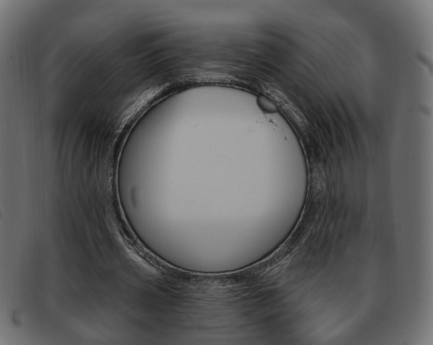 X0000093620533200710151042