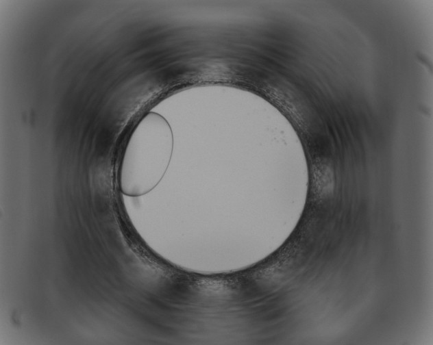 X0000093620534200710151042