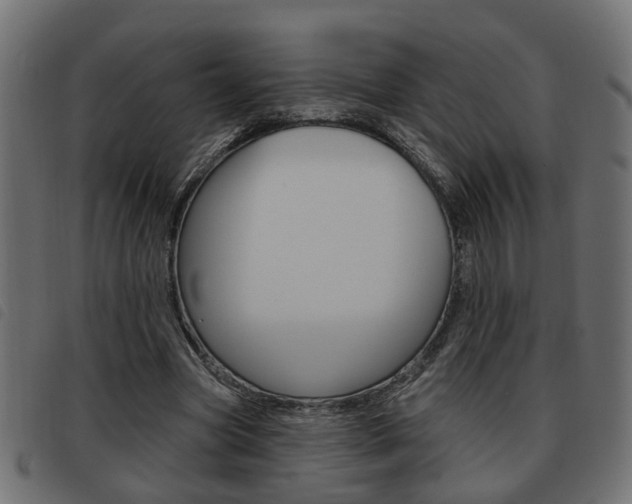X0000093620537200710151042