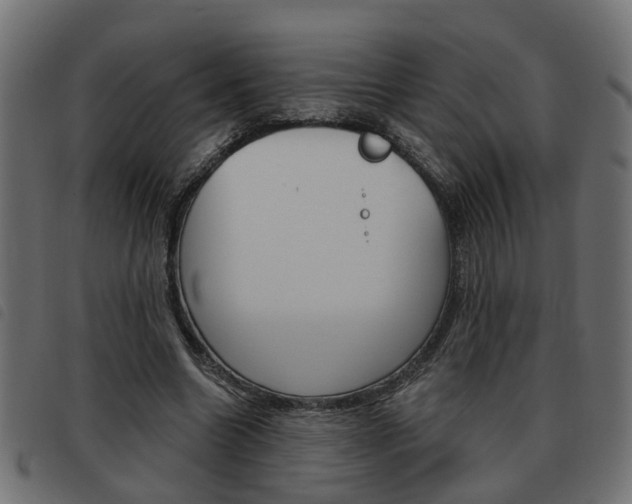 X0000093620538200710151042