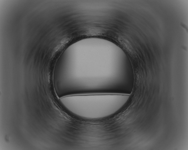 X0000093620539200710151042