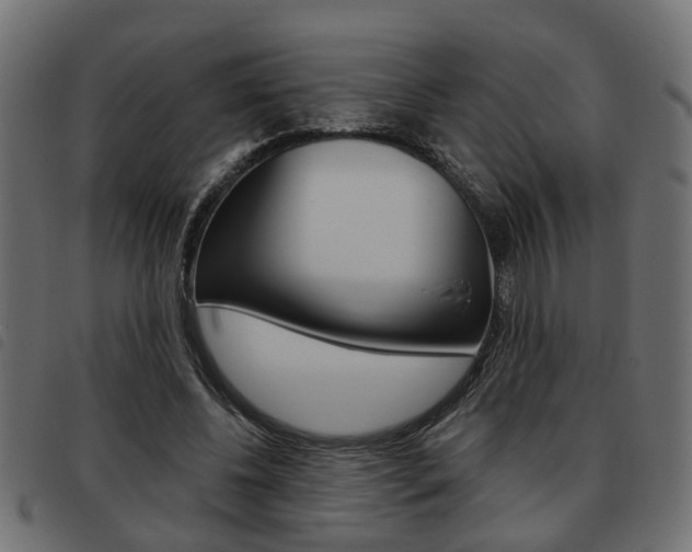 X0000093620540200710151042