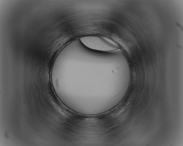 X0000093620541200710151042